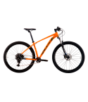 Big Wheel 7.1 2024