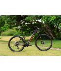 E-Bike Big Wheel 8.0