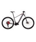 E-Bike Big Wheel 8.3
