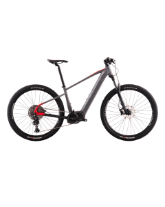 E-Bike Big Wheel 8.3
