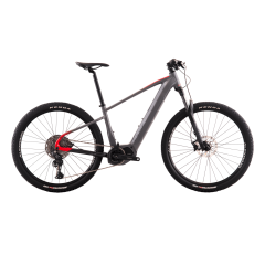 E-Bike Big Wheel 8.3